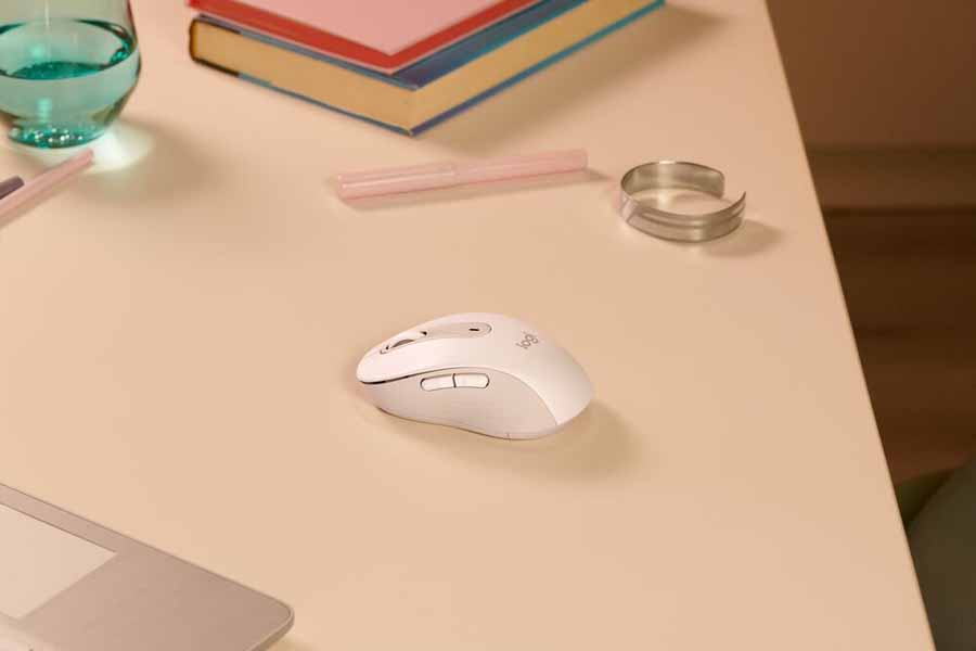 mouse
