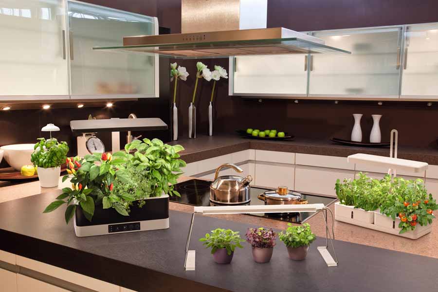 smart garden