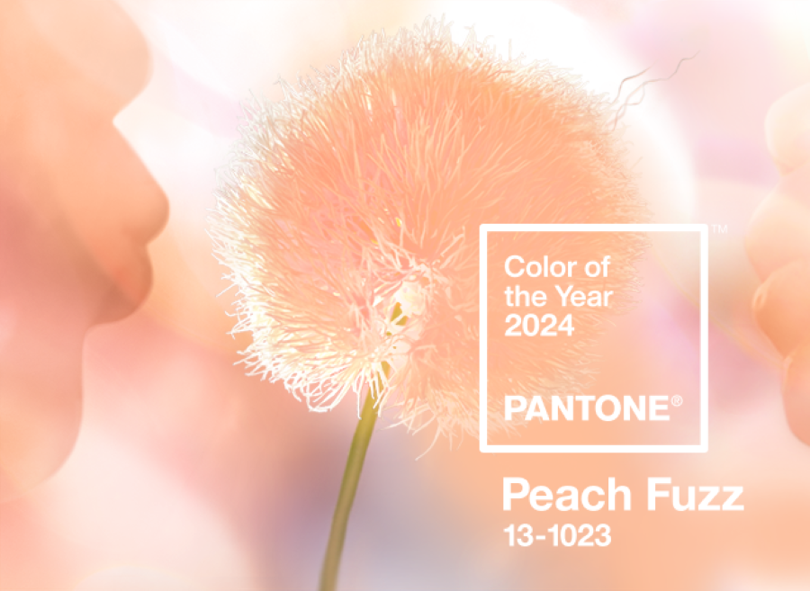 pantone 2024