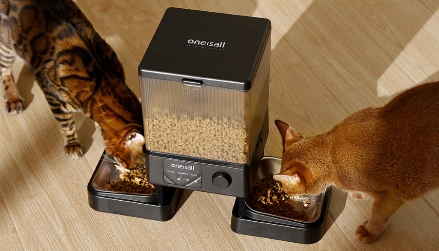 animali domestici