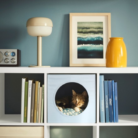 animali domestici