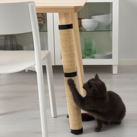 accessori per gatti