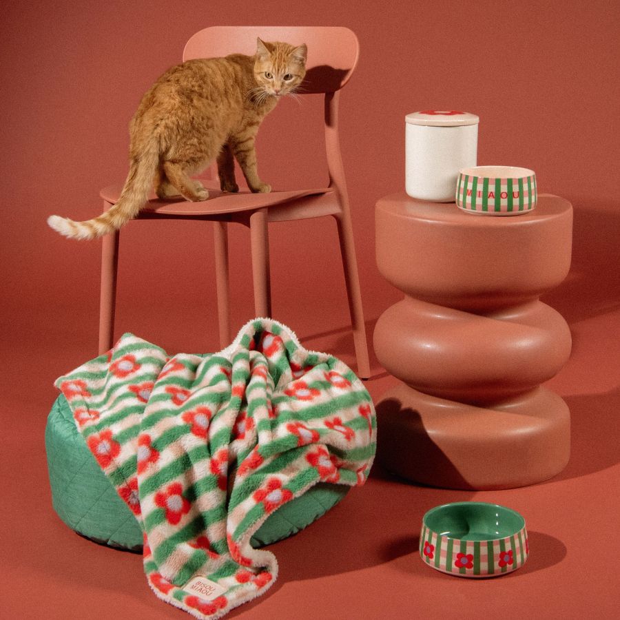 animali domestici