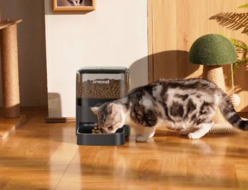 Animali domestici, accessori per il loro comfort in casa