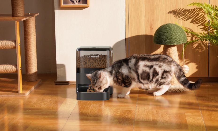 animali domestici