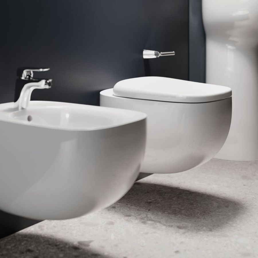 bidet e WC