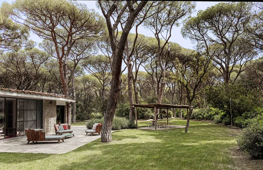 progetto di restyling in villa nella pineta
