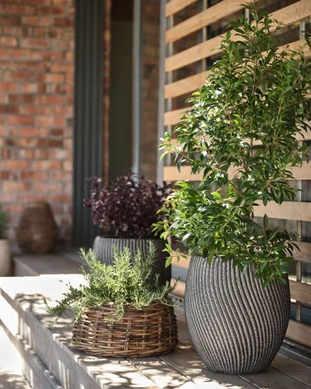 vari e fioriere per decorare il portico
