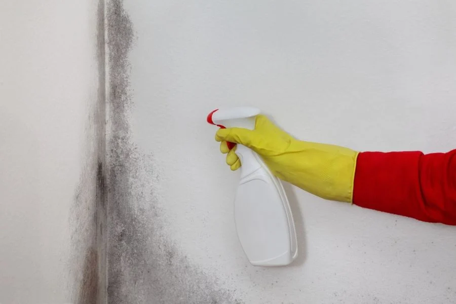 pittura antimuffa per interni