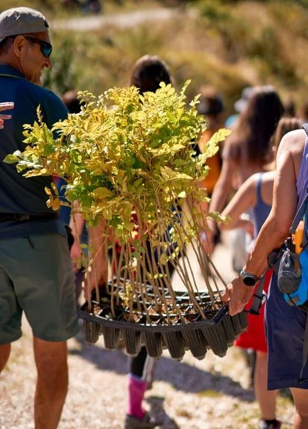 piantumazione nuovi alberi all'evento Foresta degli Innovatori