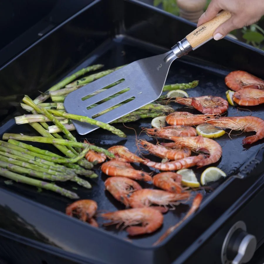 barbecue per mangiare all'aperto