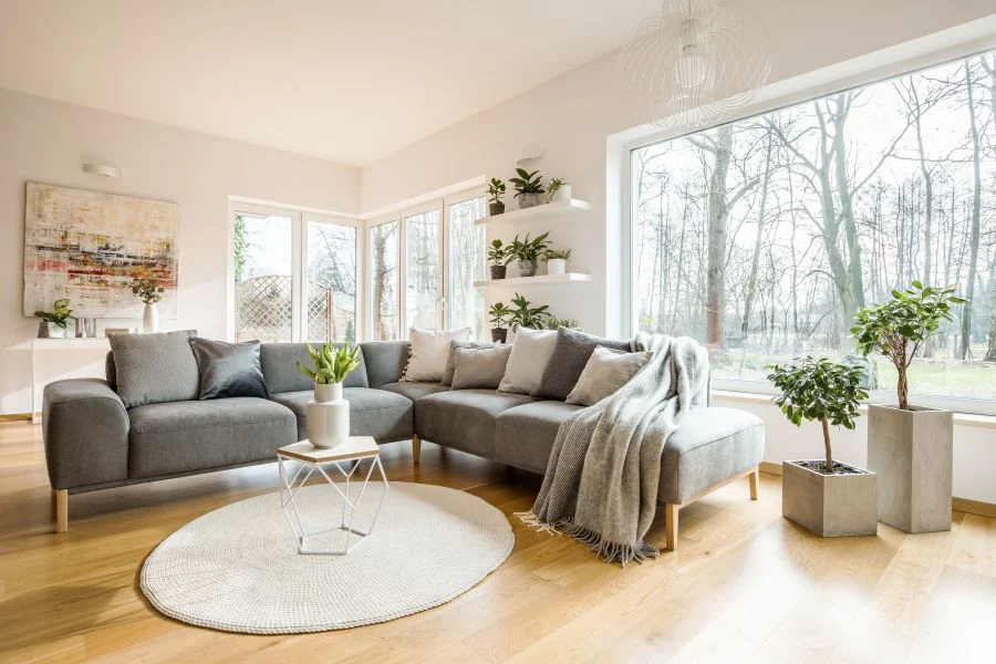 comfort domestico