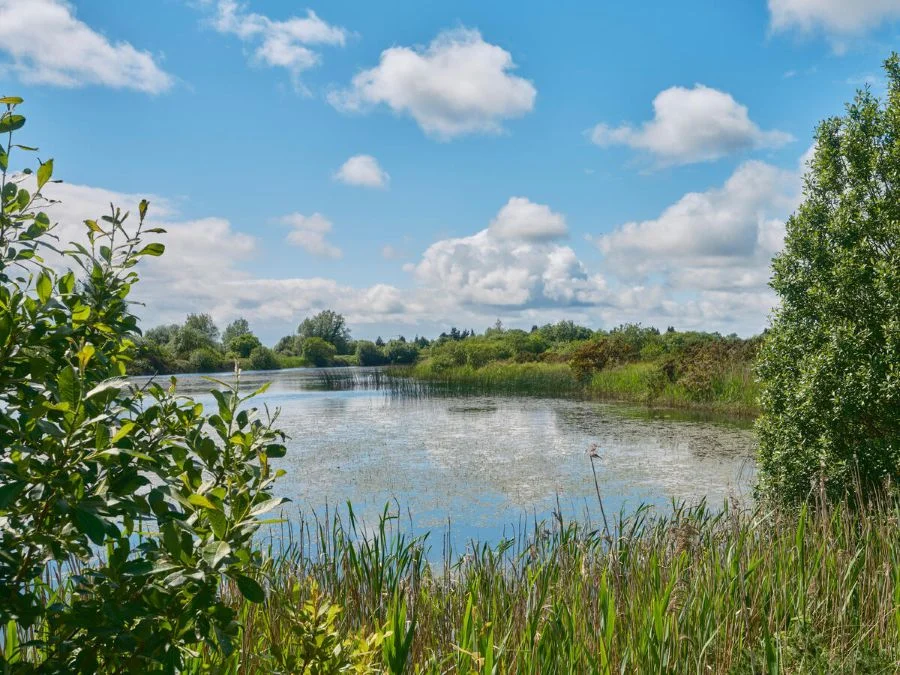 paesaggio Irlanda