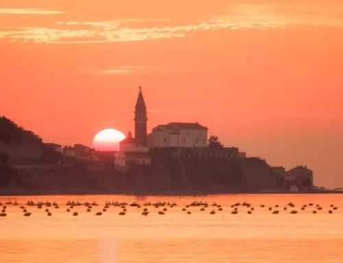 La Festa dei cachi e l’autunno in Istria