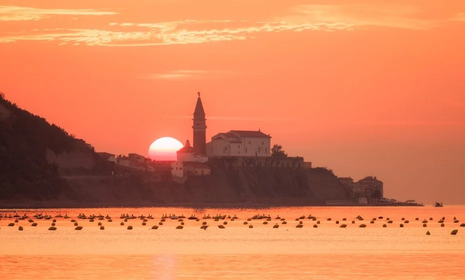 autunno in Slovenia e festa dei cachi
