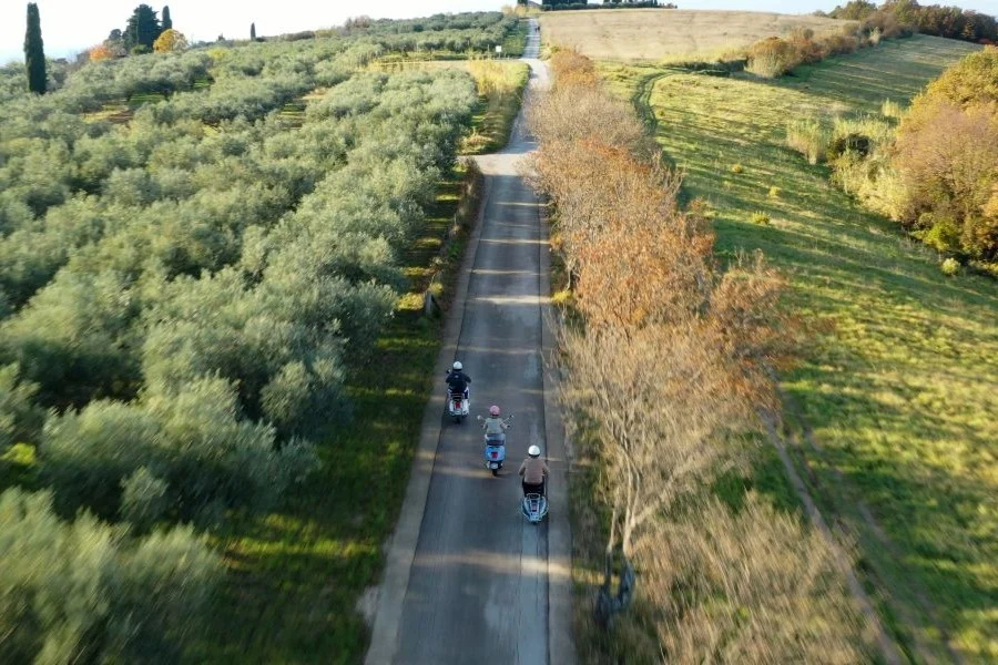 gita in Vespa tra i frutteti di cachi in Slovenia