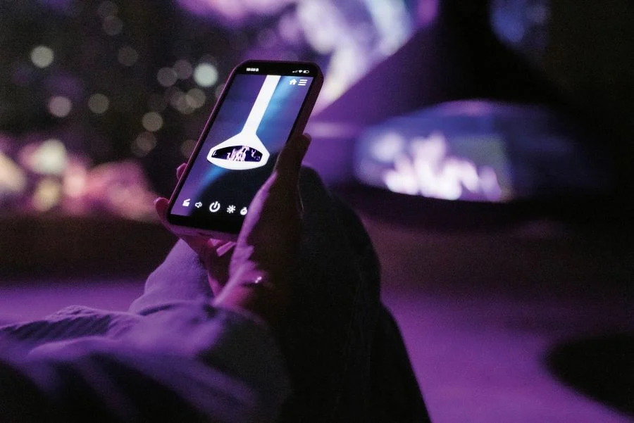 app per gestione camino elettrico